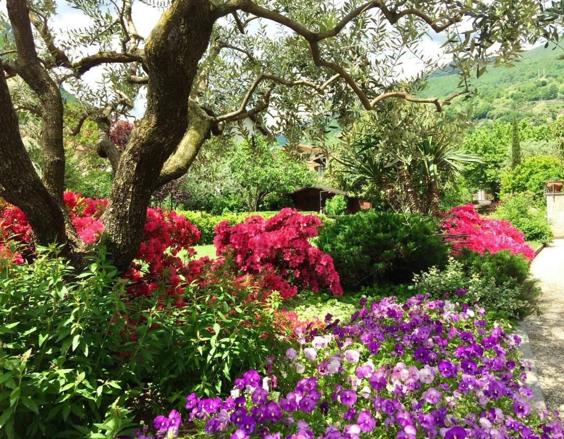 Iris 2 Lago Di Como Донго Экстерьер фото