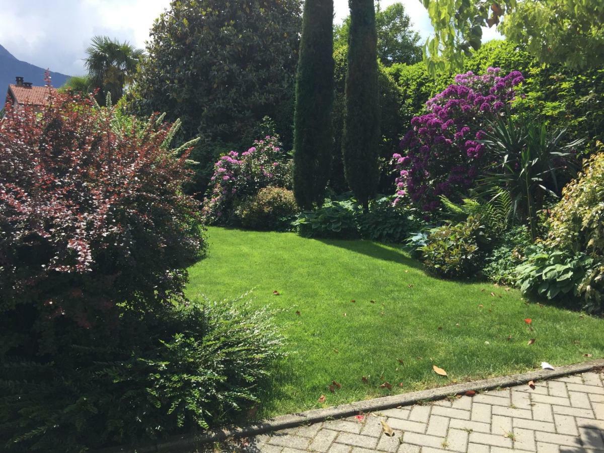 Iris 2 Lago Di Como Донго Экстерьер фото