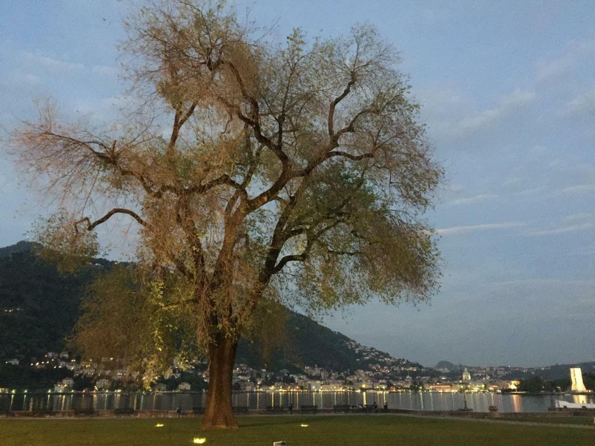 Iris 2 Lago Di Como Донго Экстерьер фото